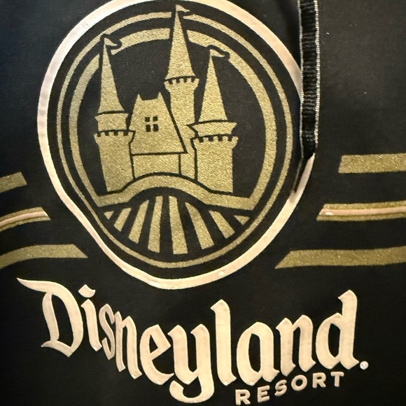 Champion Black Hoodie WALT DISNEY WORLD Men’s Size XL - Picture 5 of 9